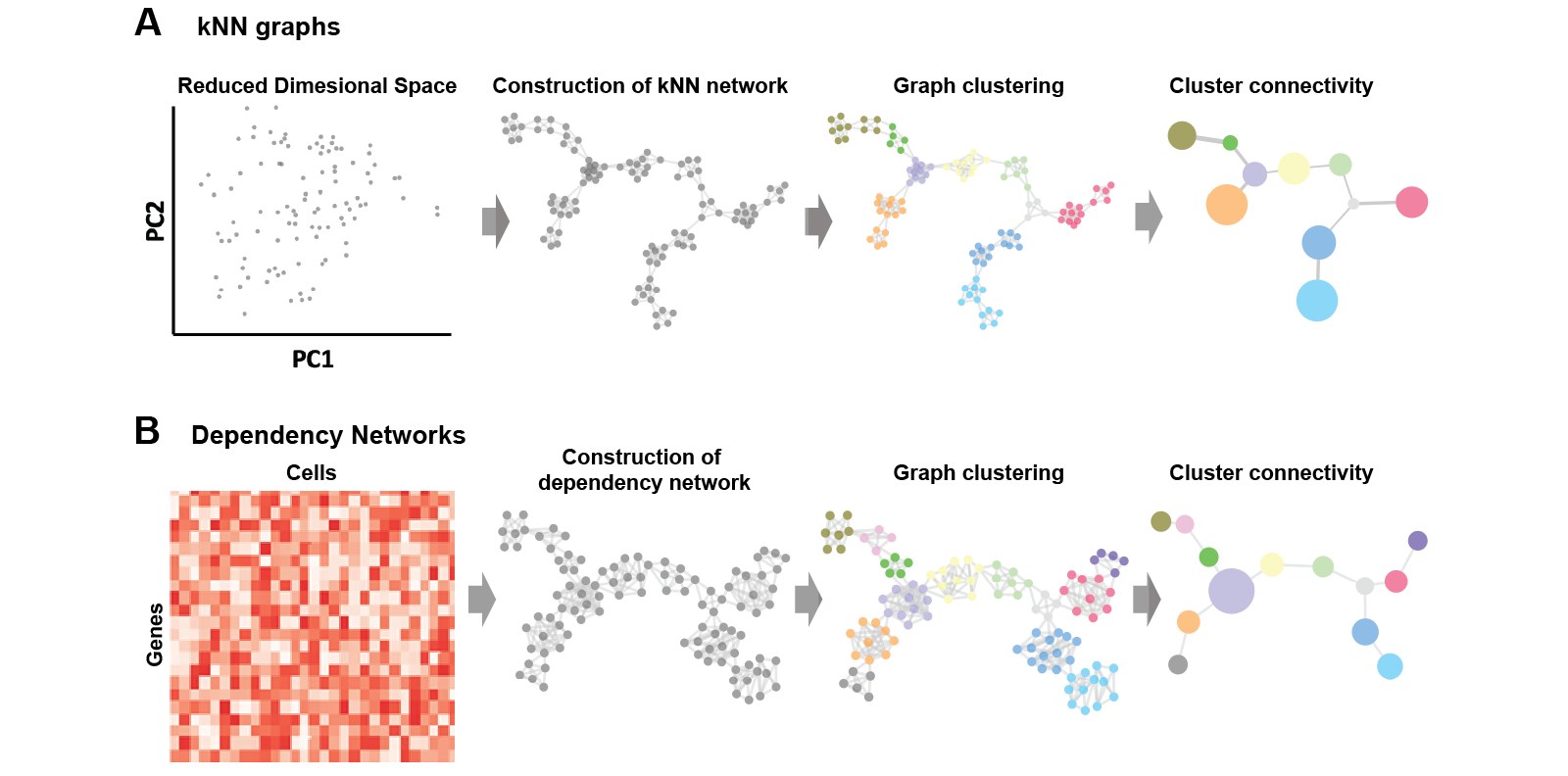 Workflow overview for cell-cell-network-inference